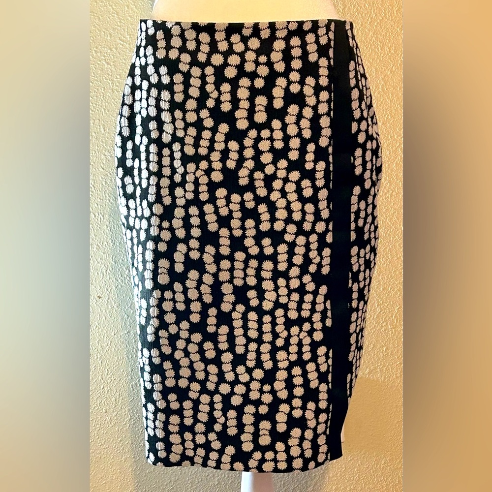 Ann Taylor Pencil Skirt, Size 6